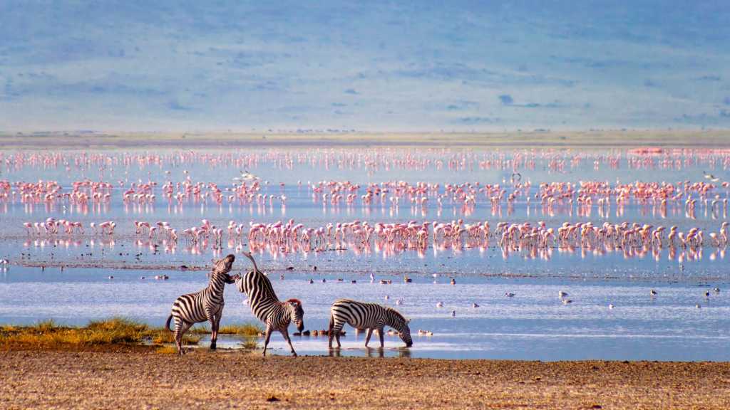 Le Parc National du Lac Manyara