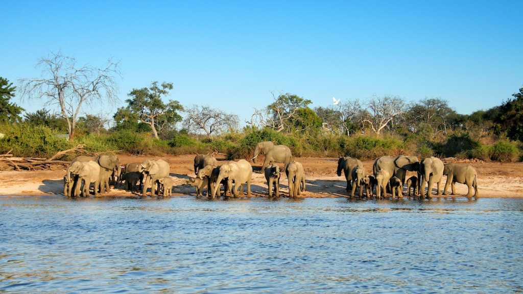 Xakanaxa & Third Bridge