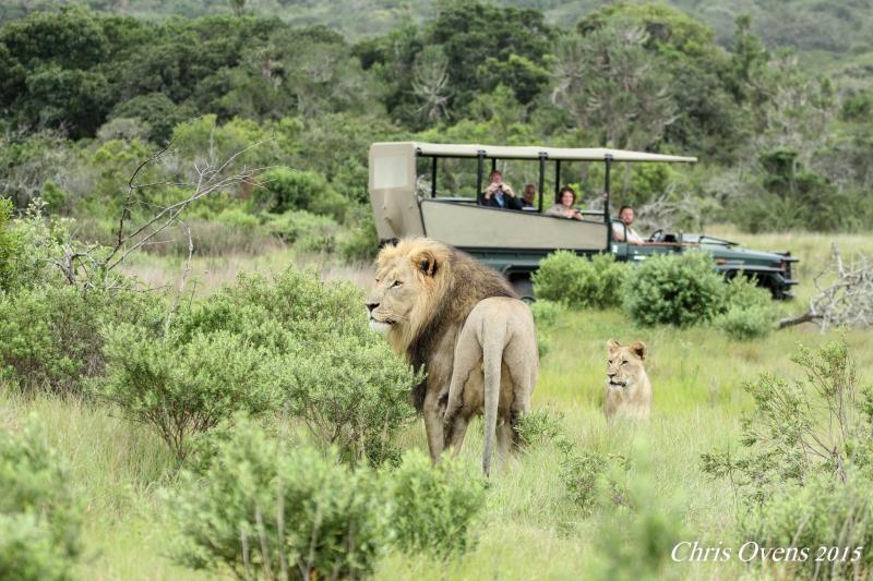 Organisez un voyage d'exception en Afrique !